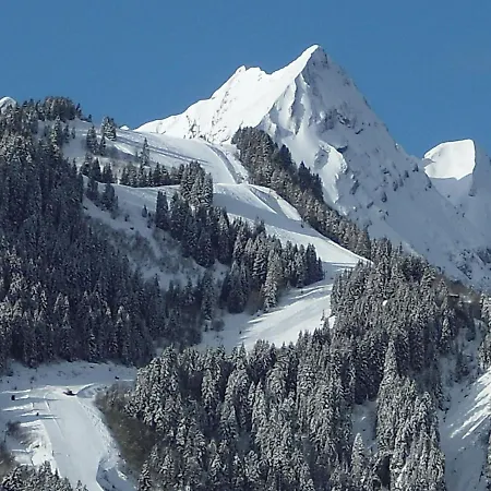 Luxurious Chalet In Rhone Alpes With Sauna *